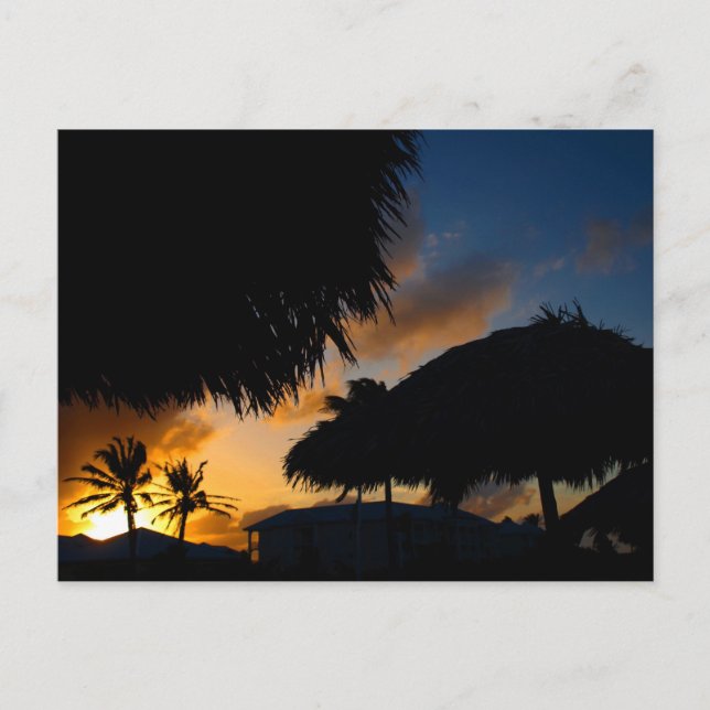 Caribbean Sunset 2 Postcard (Front)