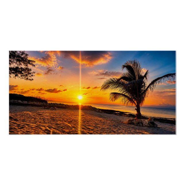 Caribbean Sunset Palm Glossy Poster (Front)