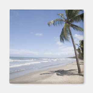 Caribbean - Trinidad - Manzanilla Beach on 2 Magnet