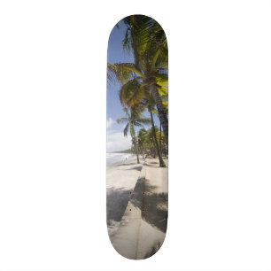 Caribbean - Trinidad - Manzanilla Beach on Skateboard