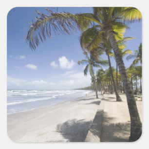 Caribbean - Trinidad - Manzanilla Beach on Square Sticker