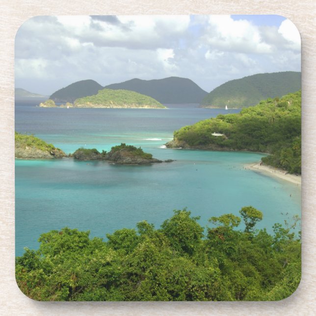 Caribbean, U.S. Virgin Islands, St. John, Trunk 2 Coaster (Front)