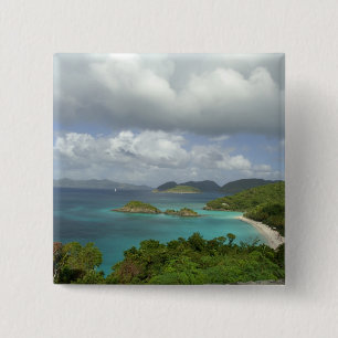 Caribbean, U.S. Virgin Islands, St. John, Trunk 3 15 Cm Square Badge