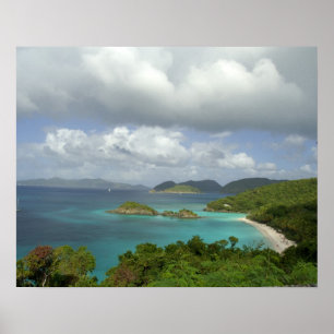Caribbean, U.S. Virgin Islands, St. John, Trunk 3 Poster