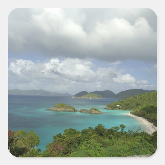 Caribbean, U.S. Virgin Islands, St. John, Trunk 3 Square Sticker (Front)