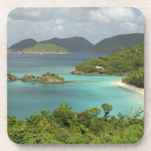 Caribbean, U.S. Virgin Islands, St. John, Trunk Coaster