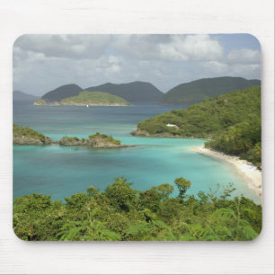 Caribbean, U.S. Virgin Islands, St. John, Trunk Mouse Mat