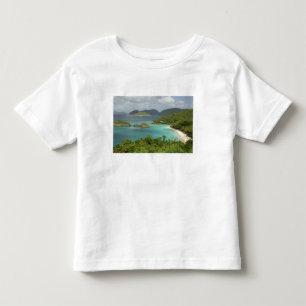Caribbean, U.S. Virgin Islands, St. John, Trunk Toddler T-Shirt
