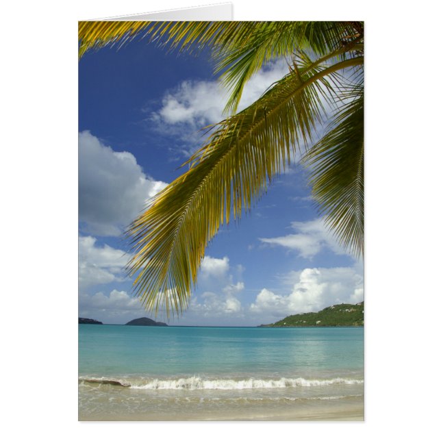 Caribbean, U.S. Virgin Islands, St.Thomas, (Front)