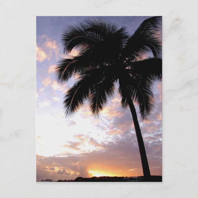 Caribbean, U.S. Virgin Islands, St.Thomas, 3 Postcard (Front)