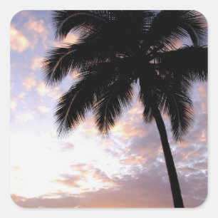 Caribbean, U.S. Virgin Islands, St.Thomas, 3 Square Sticker