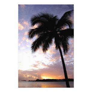 Caribbean, U.S. Virgin Islands, St.Thomas, 6 Photo Print