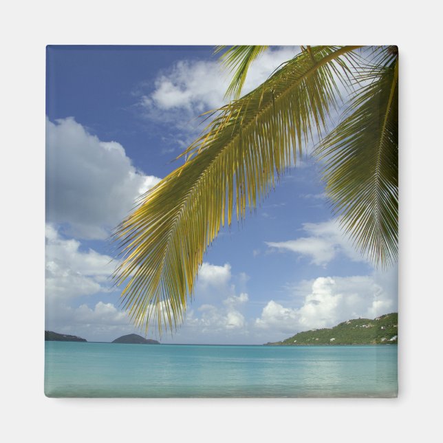 Caribbean, U.S. Virgin Islands, St.Thomas, Magnet (Front)