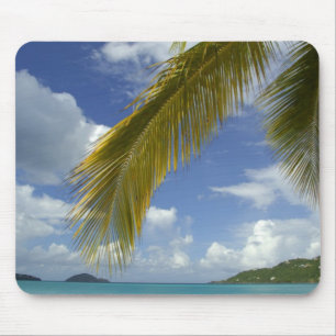 Caribbean, U.S. Virgin Islands, St.Thomas, Mouse Mat