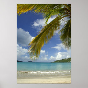 Caribbean, U.S. Virgin Islands, St.Thomas, Poster