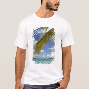 Caribbean, U.S. Virgin Islands, St.Thomas, T-Shirt