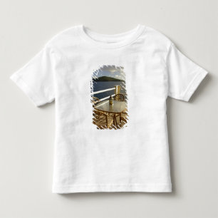 Caribbean, U.S. Virgin Islands, St. Thomas. View Toddler T-Shirt