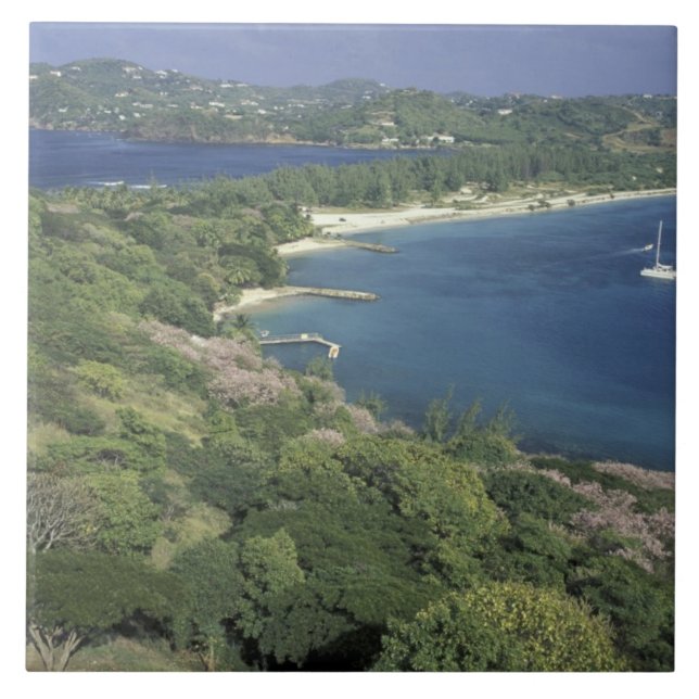 Caribbean, West Indies, St. Lucia. View of Tile (Front)