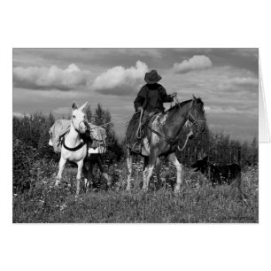 Cariboo Cowboy Horse and Mule Gifts