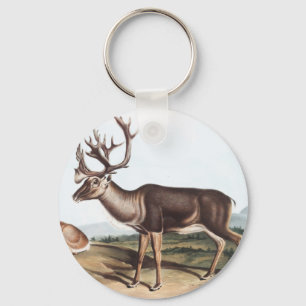 Caribou, American Rein Deer (Tarandus furcifer) Key Ring