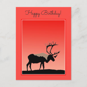 Caribou at Sunset  - Original Wildlife Art Postcard