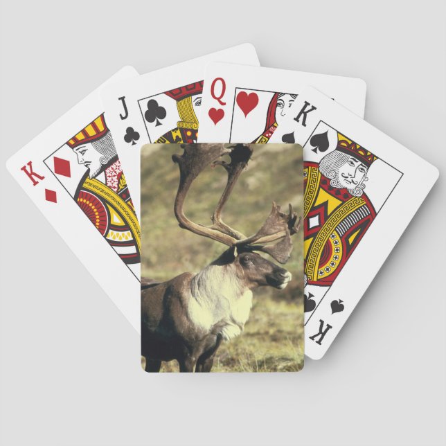 Caribou Bicycle Playing Cards (Back)