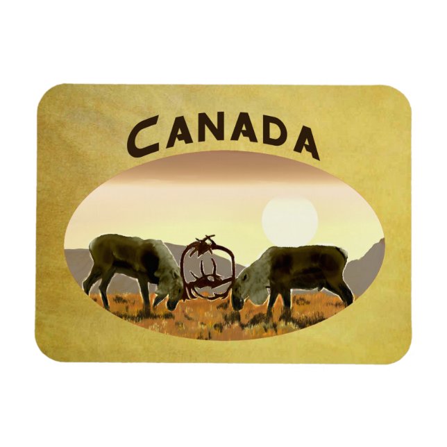 Caribou Duel - Canada Magnet (Horizontal)