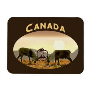 Caribou Duel - Canada Magnet