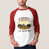 Caribou Duel - Canada