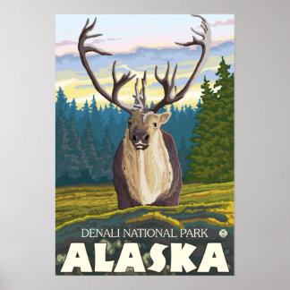 Caribou in the Wild - Denali National Park, Poster
