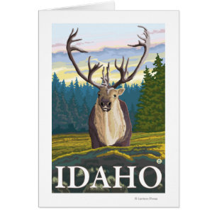 Caribou in the Wild - Idaho