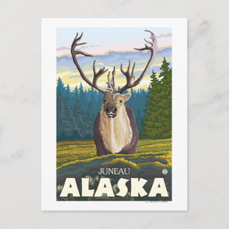 Caribou in the Wild - Juneau, Alaska Postcard