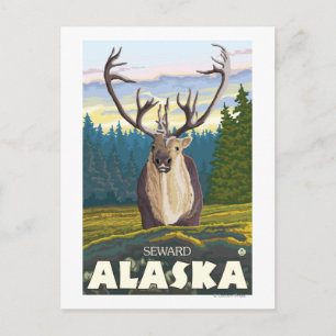 Caribou in the Wild - Seward, Alaska Postcard