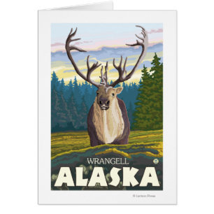 Caribou in the Wild - Wrangell, Alaska