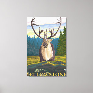 Caribou in the Wild - Yellowstone National Canvas Print