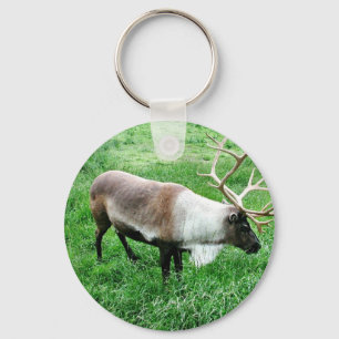 Caribou Key Ring