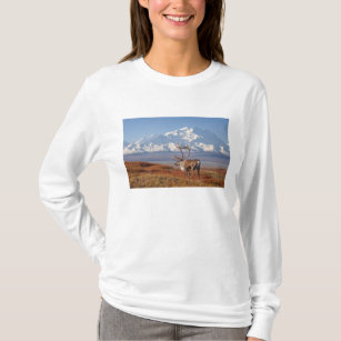caribou, Rangifer tarandus, bull in fall colours T-Shirt