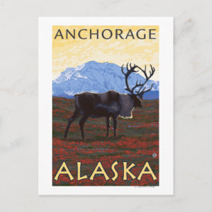 Caribou Scene - Anchorage, Alaska Postcard
