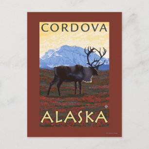 Caribou Scene - Cordova, Alaska Postcard