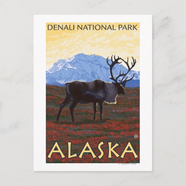 Caribou Scene - Denali National Park, Alaska Postcard (Front)