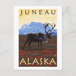 Caribou Scene - Juneau, Alaska Postcard