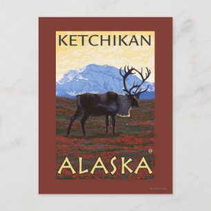 Caribou Scene - Ketchikan, Alaska Postcard