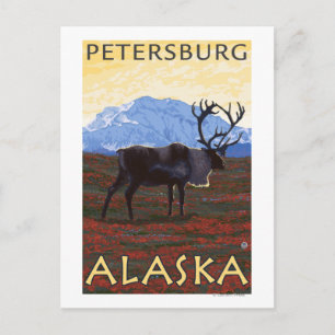 Caribou Scene - Petersburg, Alaska Postcard
