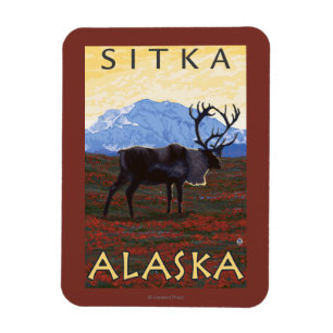 Caribou Scene - Sitka, Alaska Magnet