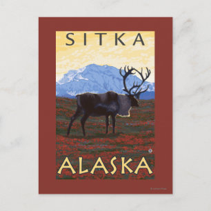 Caribou Scene - Sitka, Alaska Postcard