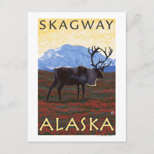 Caribou Scene - Skagway, Alaska Postcard