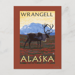 Caribou Scene - Wrangell, Alaska Postcard