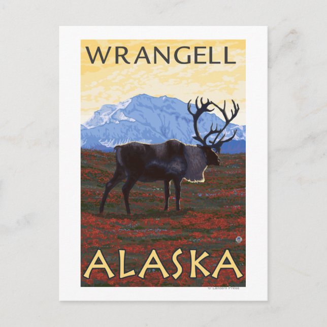 Caribou Scene - Wrangell, Alaska Postcard (Front)