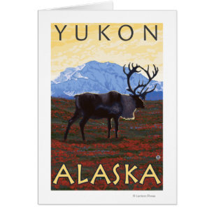 Caribou Scene - Yukon, Alaska