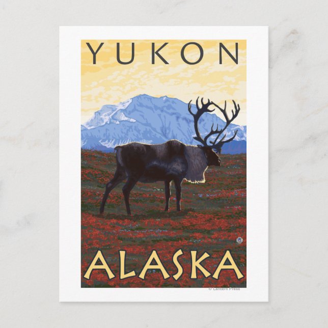 Caribou Scene - Yukon, Alaska Postcard (Front)